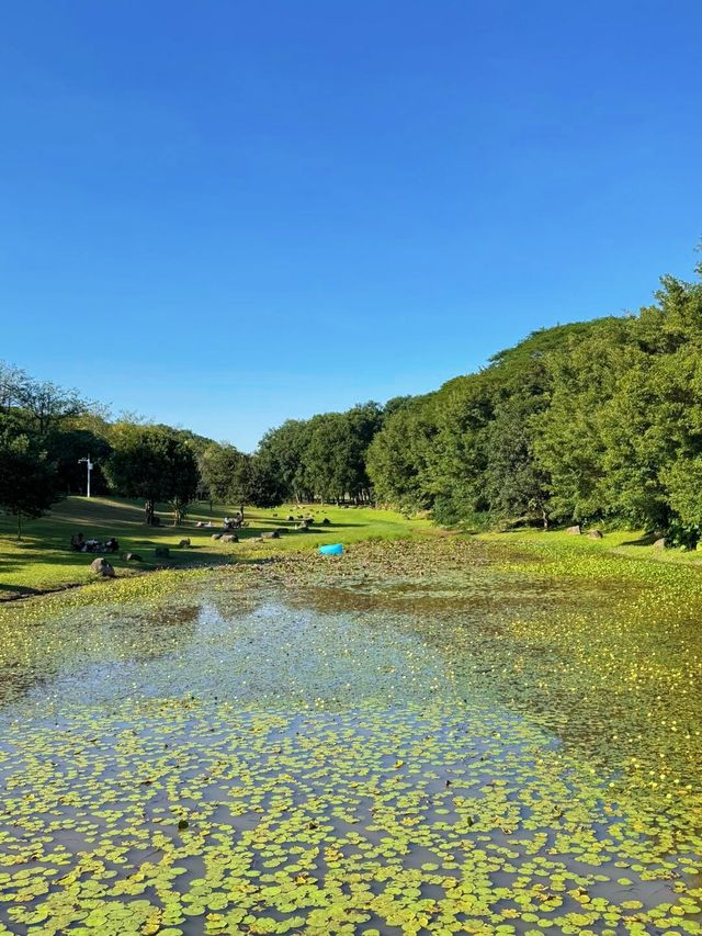 不是歐洲，來東莞一定要去松山湖啊