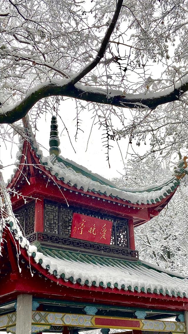 當橘子洲遇上雪