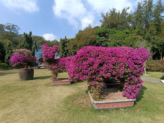 廈門植物園遊玩攻略