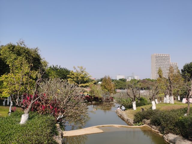 賞秋好去處，童夢樂園｜番禺區兒童公園