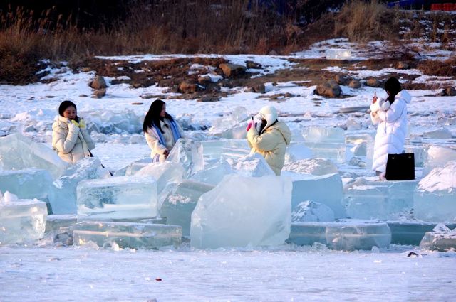 在冰雪世界嬉戲的金豆子們