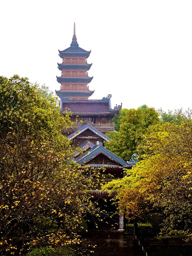 The Beautiful Bai Dinh Pagoda 🇻🇳