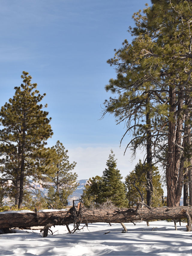 Bryce Canyon winter story❄️☃️🏔️🏜️