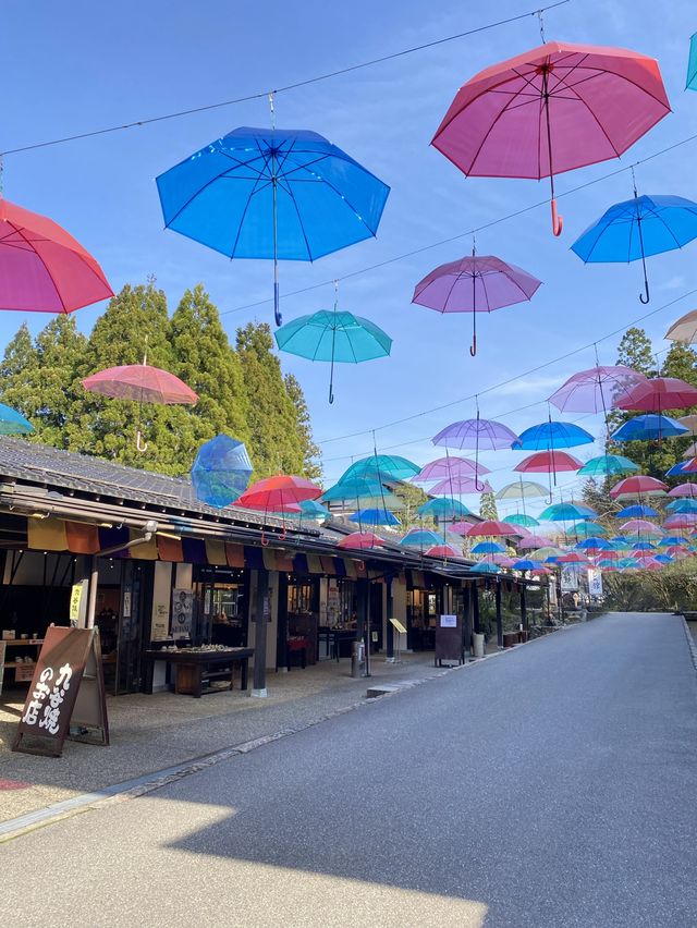 加賀観光にかかせないゆのくにの森