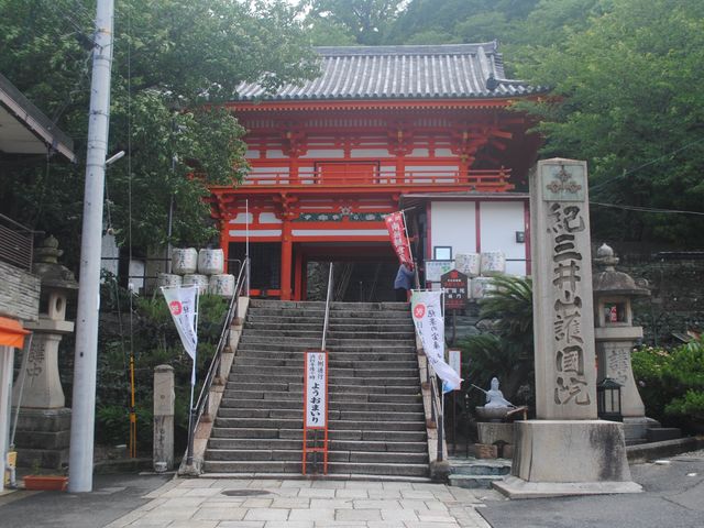 「和歌山紀三井寺：櫻花季節，欣賞和歌浦灣景色」