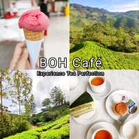  🇲🇾 Tea Time Bliss: Indulge in Freshly Brewed Teas at BOH Cafe