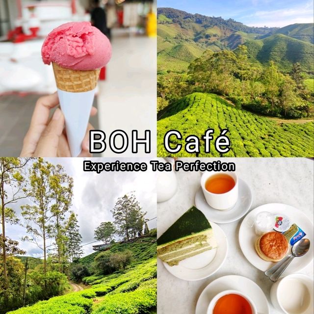  🇲🇾 Tea Time Bliss: Indulge in Freshly Brewed Teas at BOH Cafe