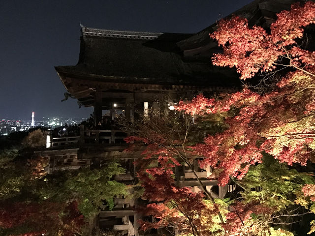 日本🇯🇵京都 - 清水寺最美的世界遺產