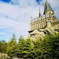 Magical Moments at Hogwarts: Butterbeer, Thrills, and Wizarding Wonders!