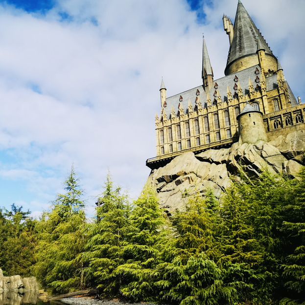 Magical Moments at Hogwarts: Butterbeer, Thrills, and Wizarding Wonders!