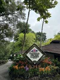 Singapore Botanic Gardens: A Tropical Haven in the City