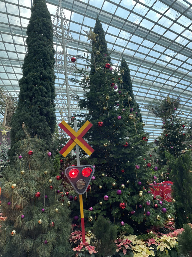 🇸🇬All Christmasy in Flower Dome 🍭 