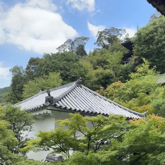 京都天授庵：禪意與紅葉交織的靜謐聖地