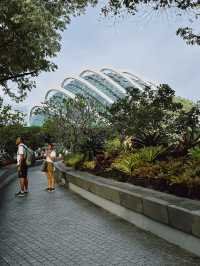 Gardens by the Bay สวนอนาคตแห่งสิงคโปร์