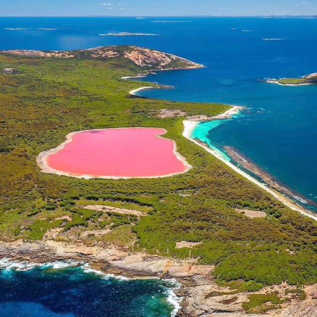 A Pink Paradise: Have You Seen the Stunning Lake Hillier in Perth??