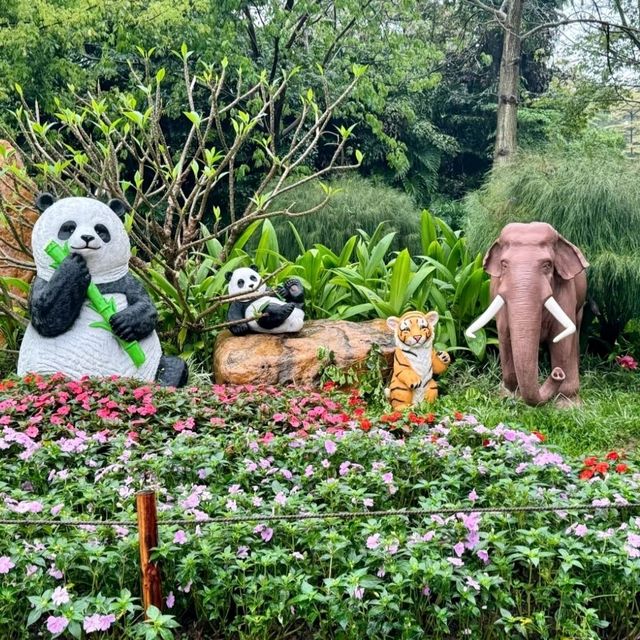 親子活動帶小孩去廣州動物園