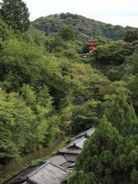 The Timeless Charm of Kiyomizu-dera: Kyoto’s Hilltop Sanctuary