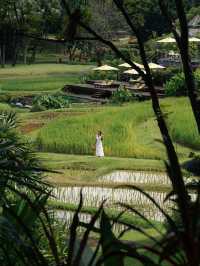 Four Seasons Resort Chiang Mai