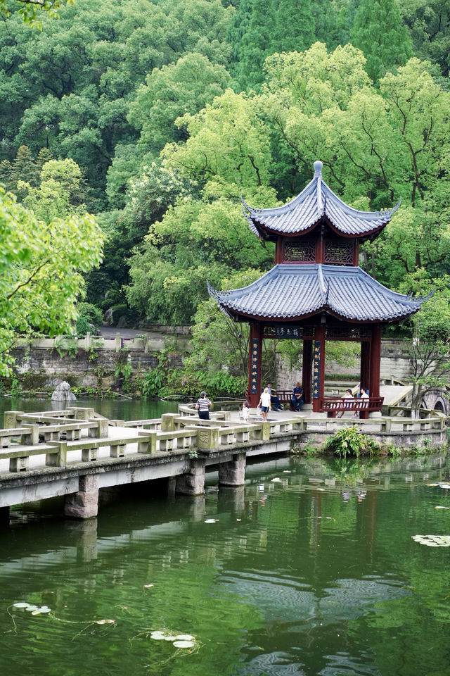 浪漫泸州｜藏在忠山公園的松弛感