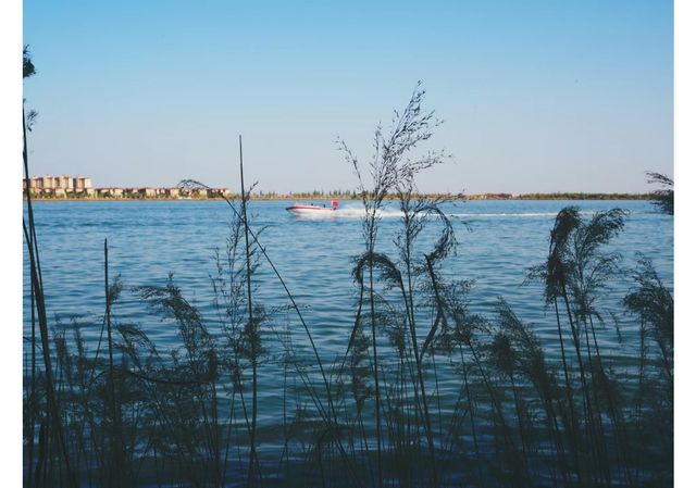 包頭||南海濕地公園體驗塞外西湖。