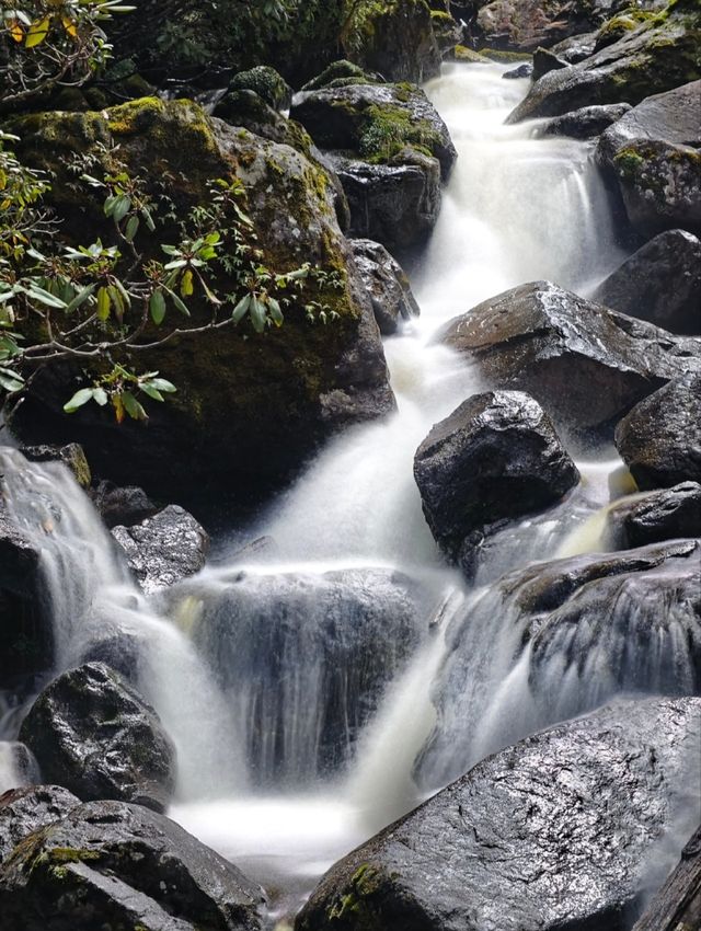 四川大涼山普格縣螺髻山景區。