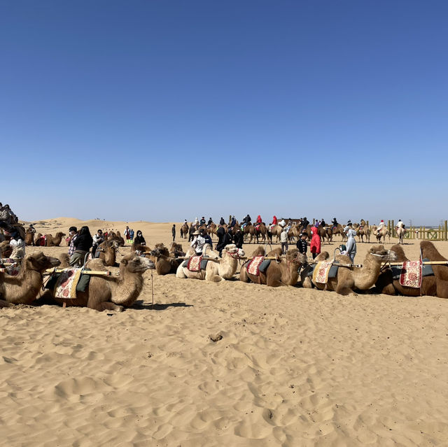 Discover the Enchantment of Kubuqi Desert: A Land of Endless Dunes and Timeless Beauty