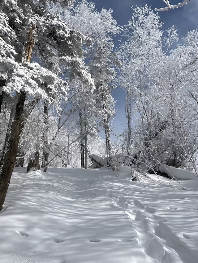 還在愁雪谷怎麼玩？看這篇就知道了