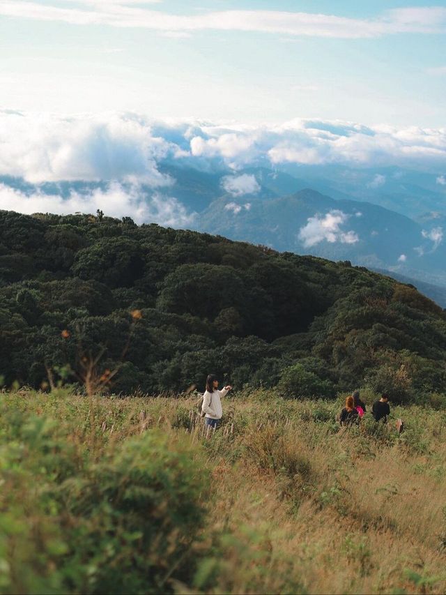 清邁輕鬆行山攻略：茵他儂兩條自然步道