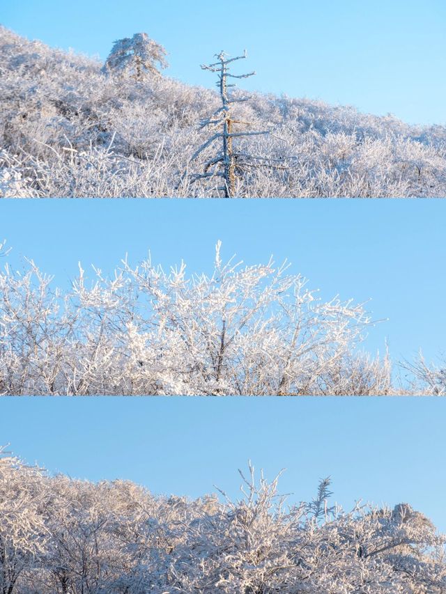 我在雲上草原實現了我的滑雪夢附攻略