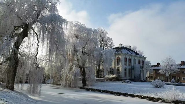 荷蘭隨手拍之冬日雪景