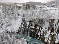 北海道美瑛－富良野一日遊的奇妙旅程