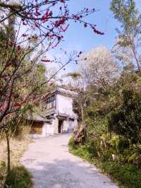 雲南大理大雲堂萬佛寺，免費景點（寂照庵隔壁）