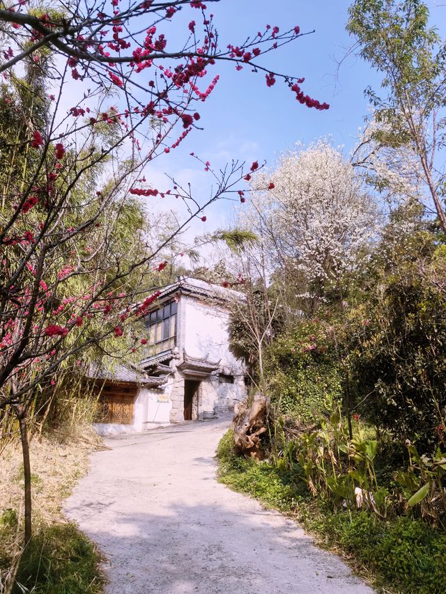 雲南大理大雲堂萬佛寺，免費景點（寂照庵隔壁）