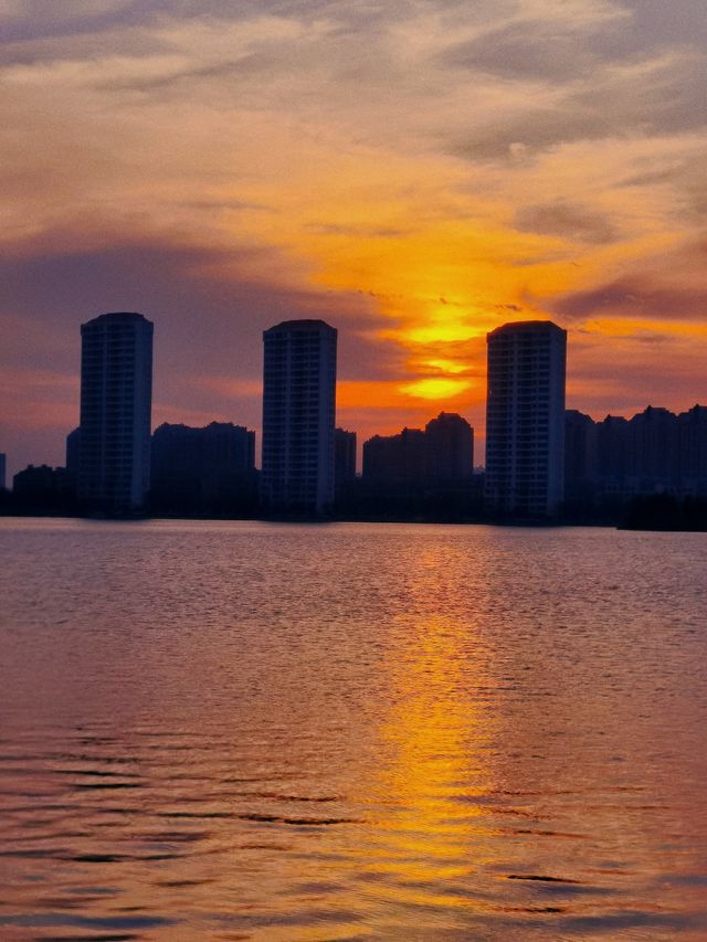 蘭香湖 閔行的隱藏免費景點