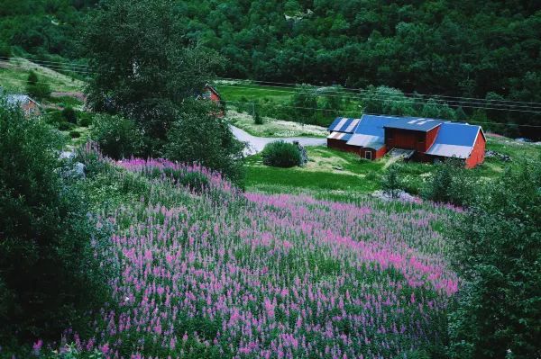 Norwegian Fjords: A Moment in the Sky, Millennia on Earth