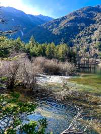 老年人要看四姑娘山-新都橋旅行秘籍私人分享