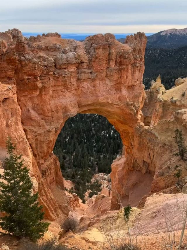 美國等多國連遊 J 人的超詳細旅行攻略