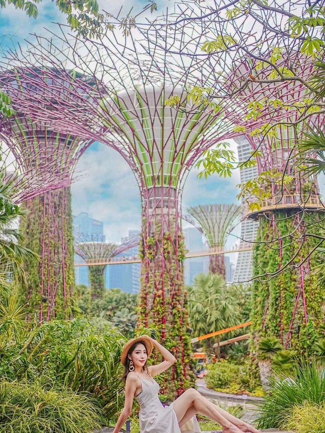 Gardens by the Bay in Singapore is Stunning✨❤️