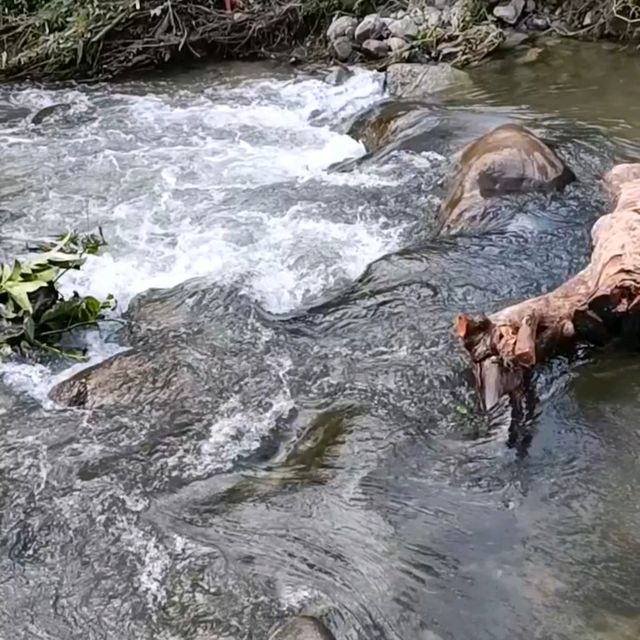 BBQ Staycation at Sungai Congkak!!!