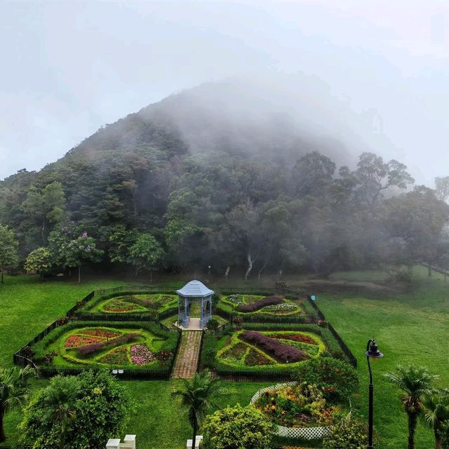 雨中行山 山頂花園