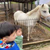 伊豆仙人掌動物園🌵