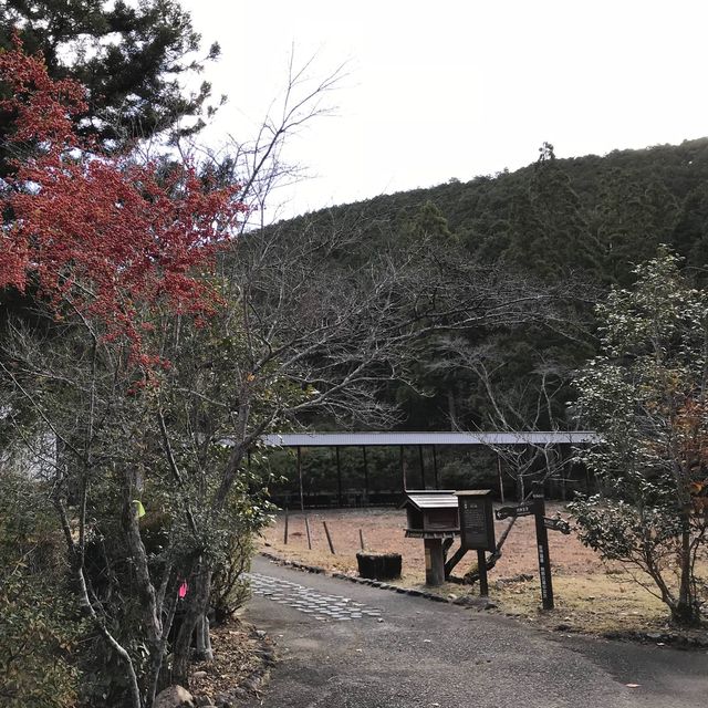 慢步日本山野 - 熊野古道