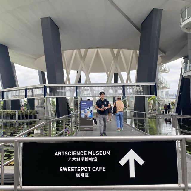 ArtScience Museum’s Hidden FREE Photospot