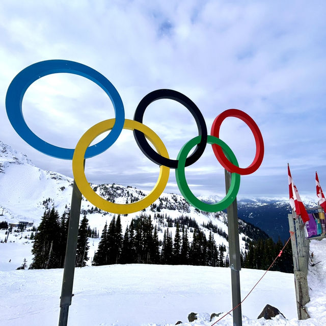 【Whistler Mountain in vancouver】🇨🇦    世界的なスキー⛷️の地でただの観光！？