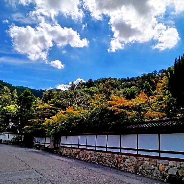 【京都】2024年秋厳選！京都紅葉スポット 南禅寺