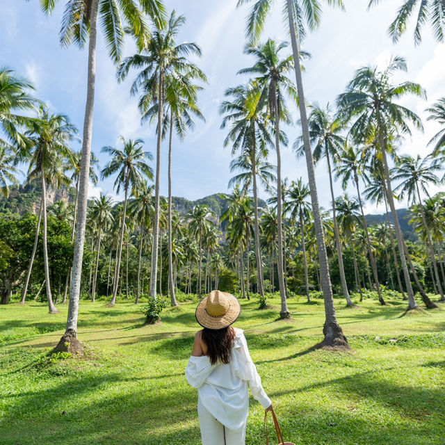 Tinidee Hideaway Tonsai Beach Krabi 