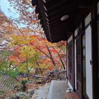 11中旬的首爾吉祥寺，令人平靜的寺廟