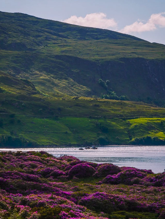 A Road Trip Along the Wild Atlantic Way: Exploring Connemara