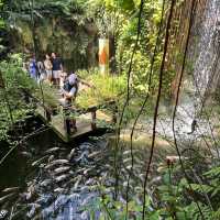 Indoor Park Filled with Butterflies in Penang 