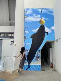 【福岡観光】マリンワールド海の中道：海と生き物が織りなす感動体験